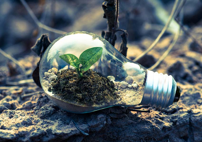 What Makes a Site Suitable for Utility-Scale Solar Development?